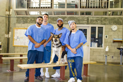 Inmates & shelter dogs rescue each other