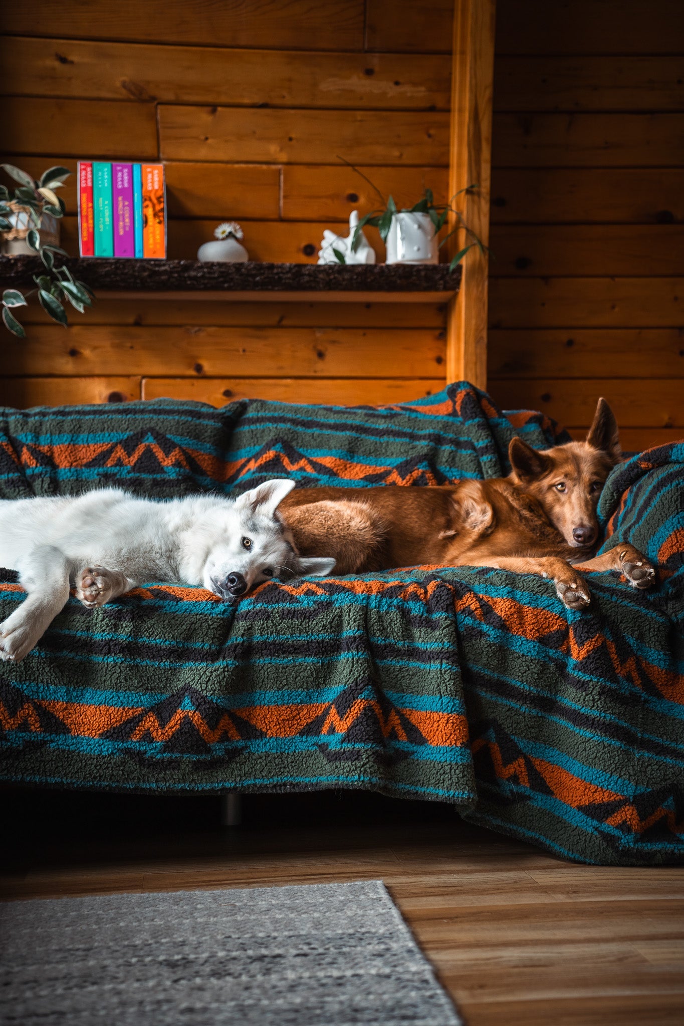 Blankets – Wilderdog