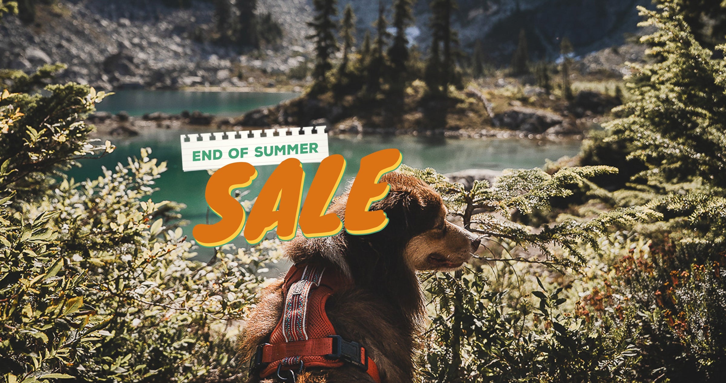 A dog in a red harness sits by a lake surrounded by trees and mountains. Overlaid text reads, "End of Summer Sale.