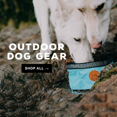 Outdoor Dog Gear