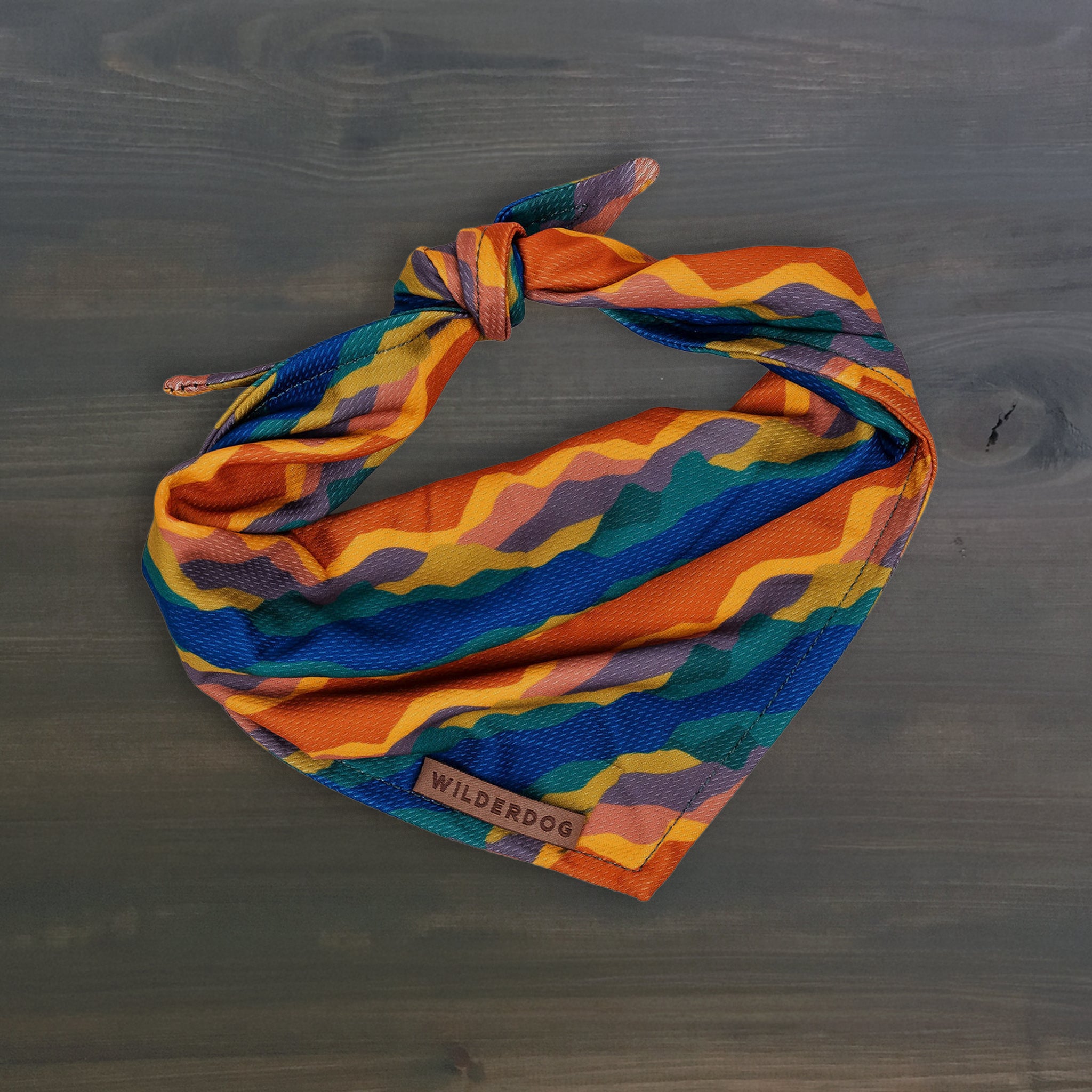 KANDO BANDO CD 2枚セット カネキン Canyon Bandana – Wilderdog