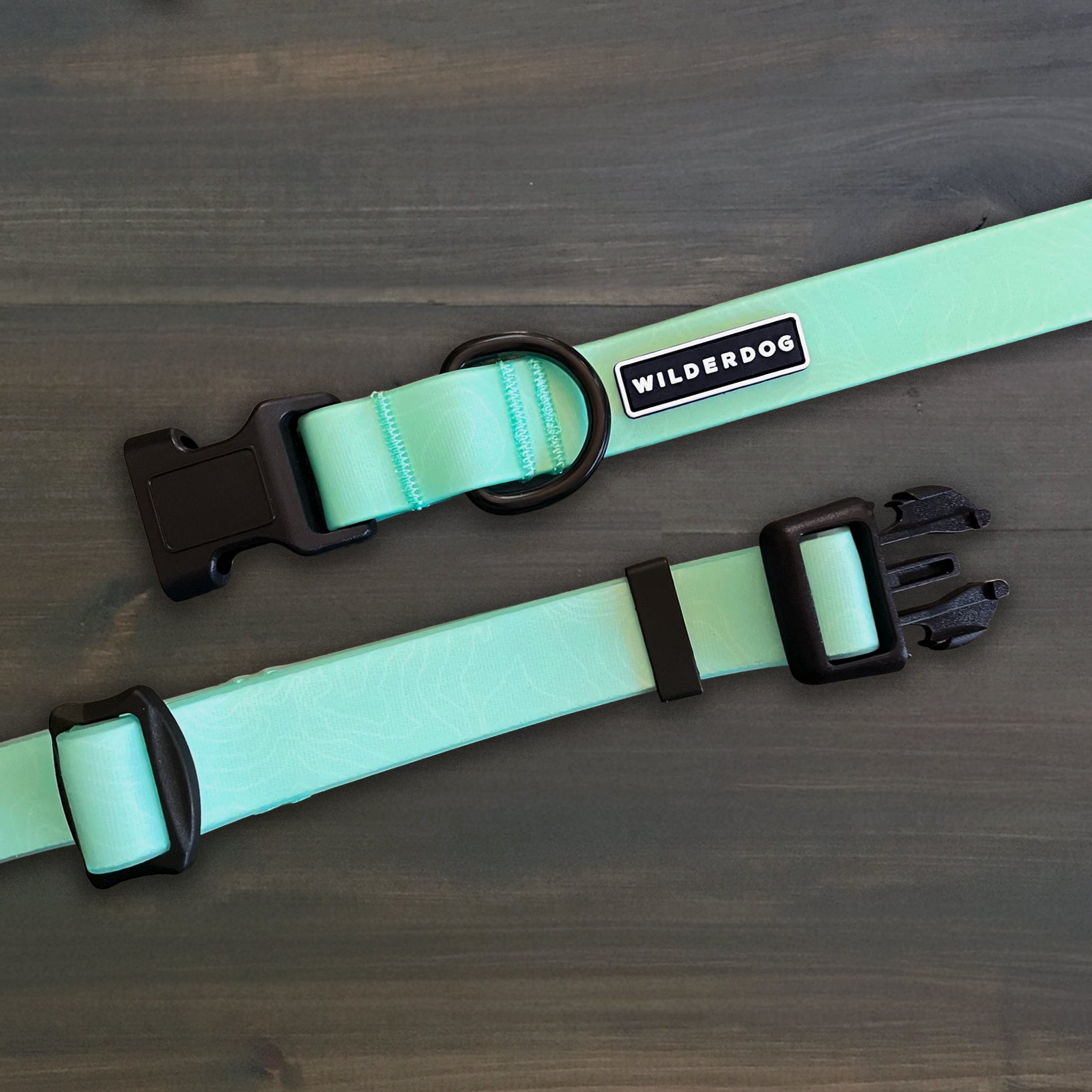 Seafoam Waterproof Collar – Wilderdog