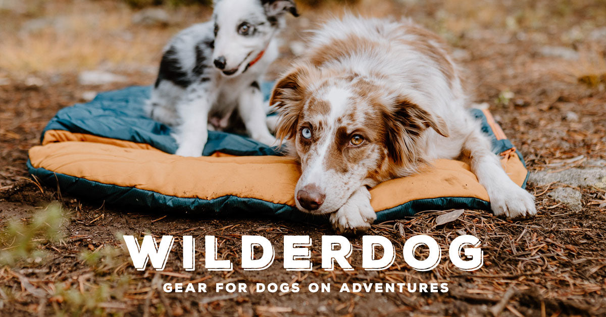 Wilderdog Cooling Bandana for Dogs - Gone Fishing | Sackett Ranch