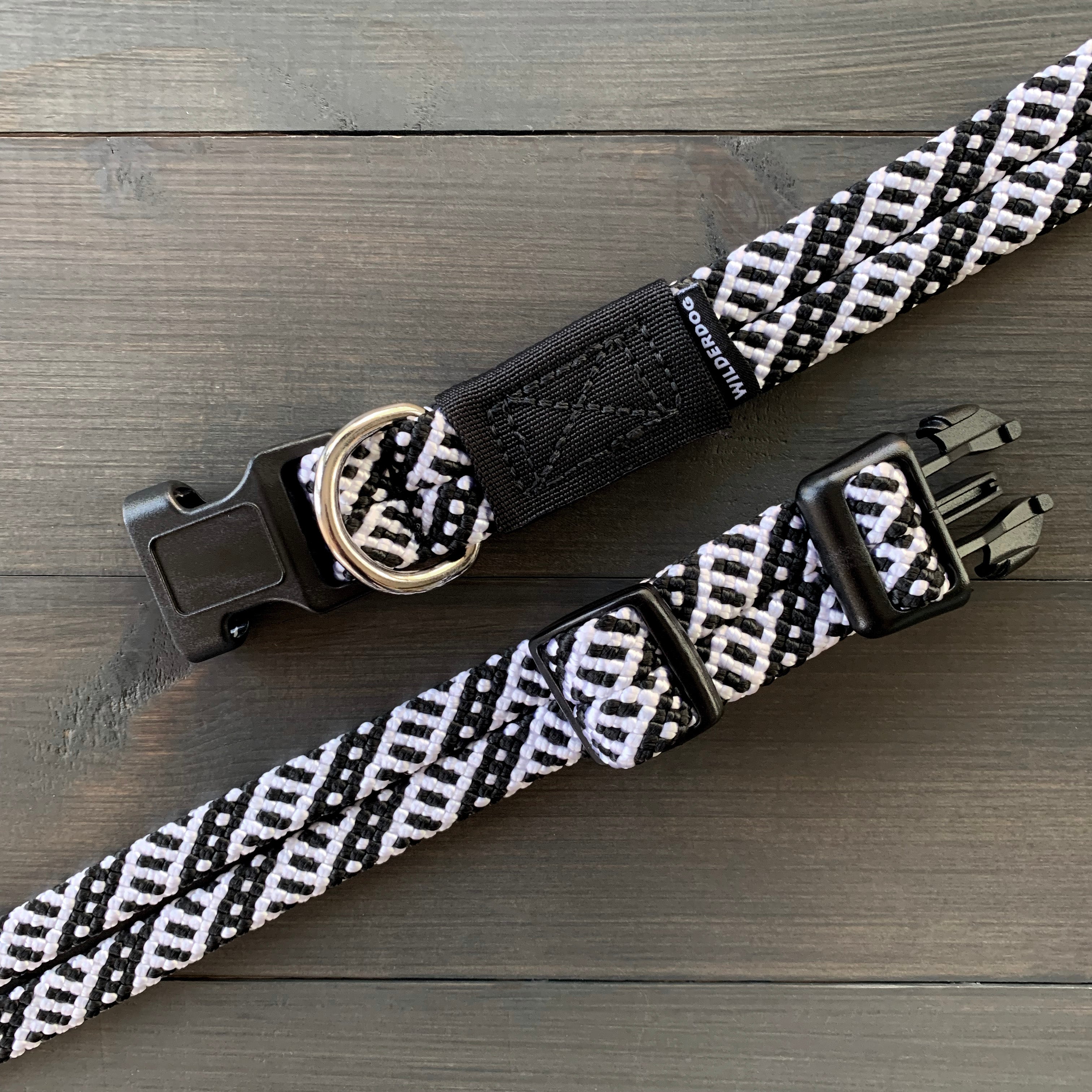Best color collar for black and white dog top