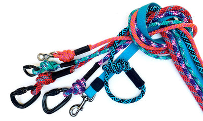 Which leash is best for my dog?