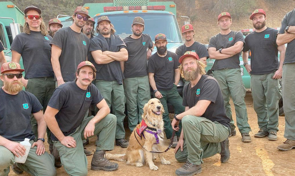 First Responder Therapy Dogs