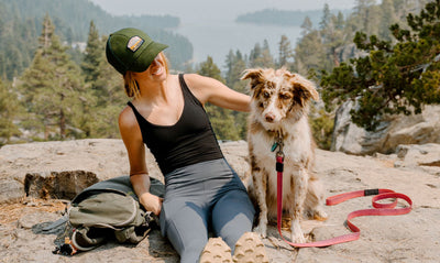 Hiking 101: Must-Have Gear for Your Dog