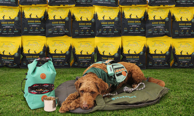 Wilderdog x Jiminy's = 7,000 Lbs of Kibble Donated