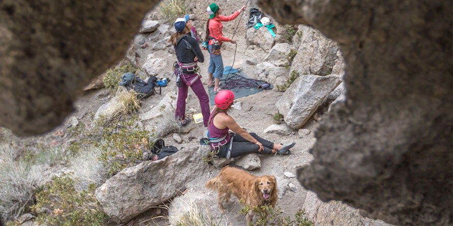 On Belay! The do's and don'ts of dogs at the crag.