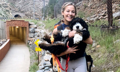 Cragdoggin' with Pro Climber Sasha DiGiulian (+ Moose)