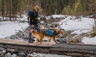 Trail Etiquette 101: A Guide for Hiking with Your Dog