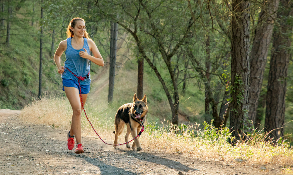 Trailrunning with Pippin