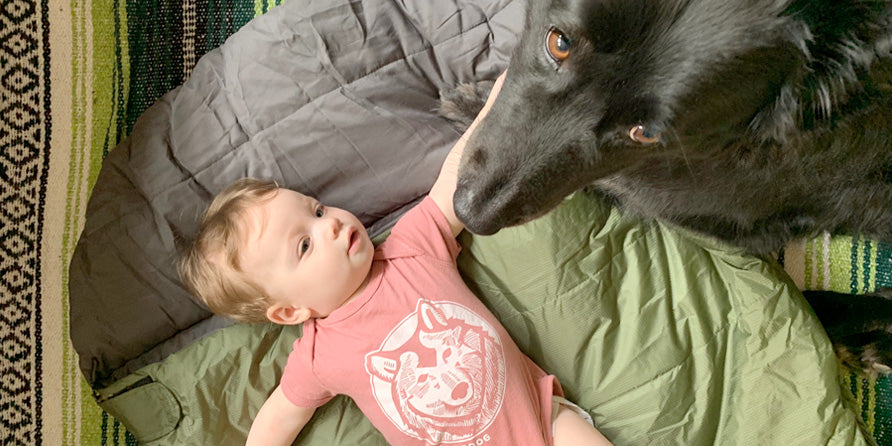 The newest member of the pack... Wilderbaby!