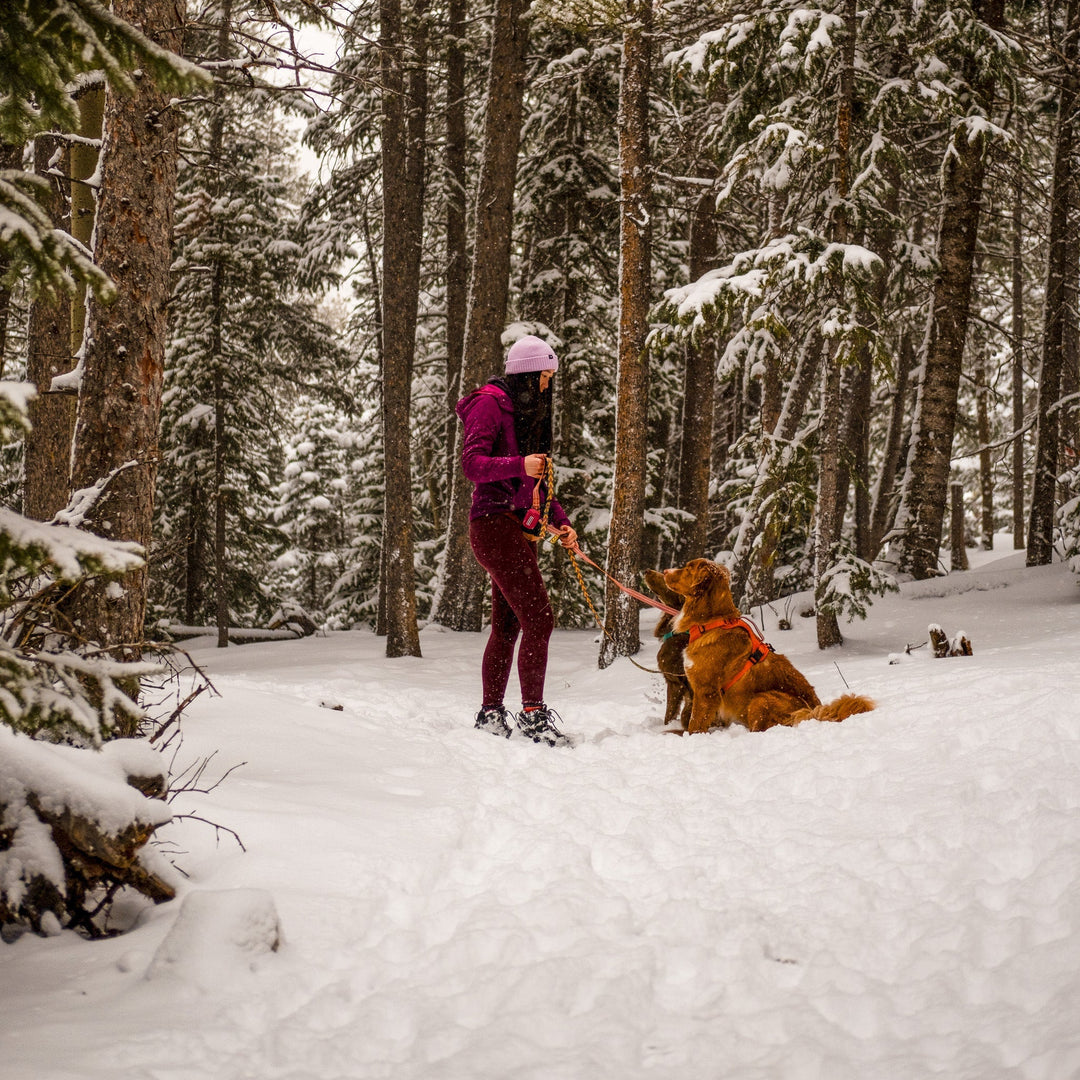 https://www.wilderdog.com/cdn/shop/articles/winter-forest-hike-26-3_1080x.jpg?v=1761768592