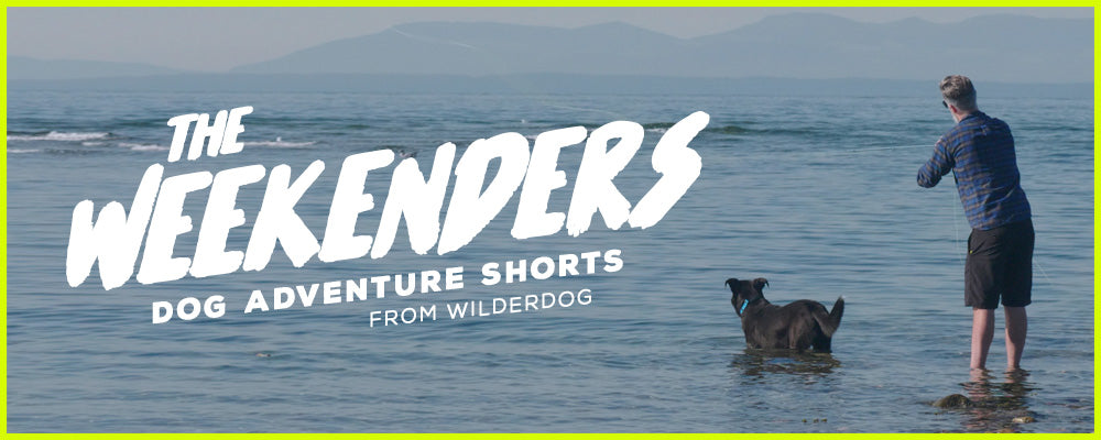 Episode 2: Sometimes We Catch Fish