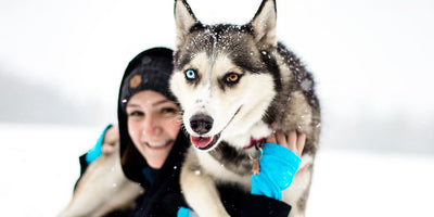 Hiking With Your Four-Legged Friend