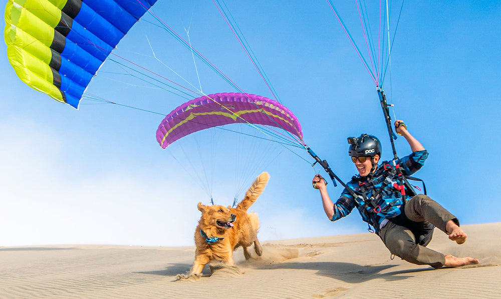 Adventure Dog Takes Flight