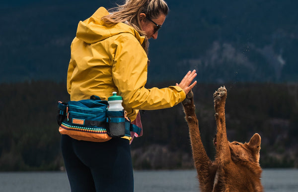Person wearing a Wilderdog Mega Hip Pack while hiking with their dog.