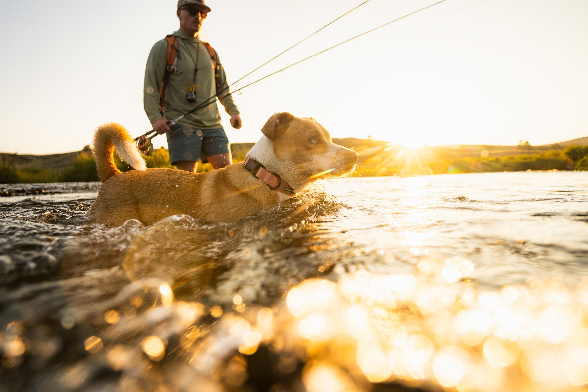 Waterproof Leash + Collar Bundles