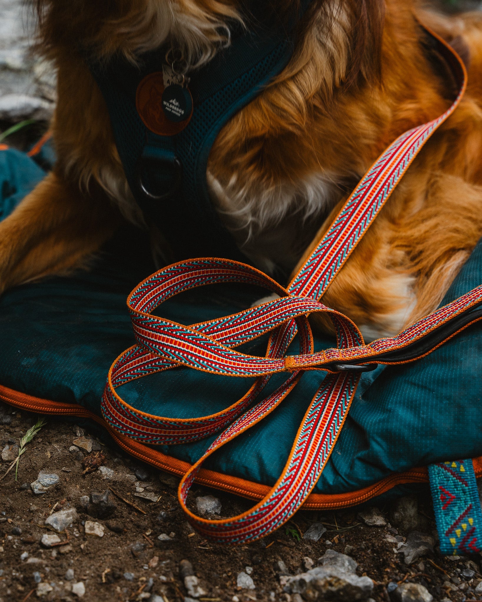 Ultralight Leashes
