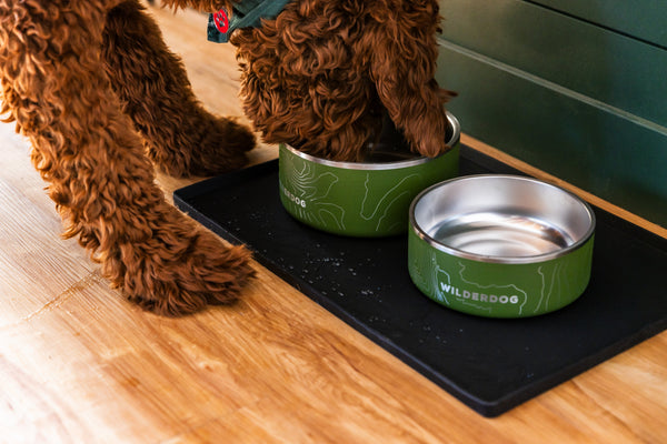 Dog relaxing beside Wilderdog home essentials including a blanket and bowl.