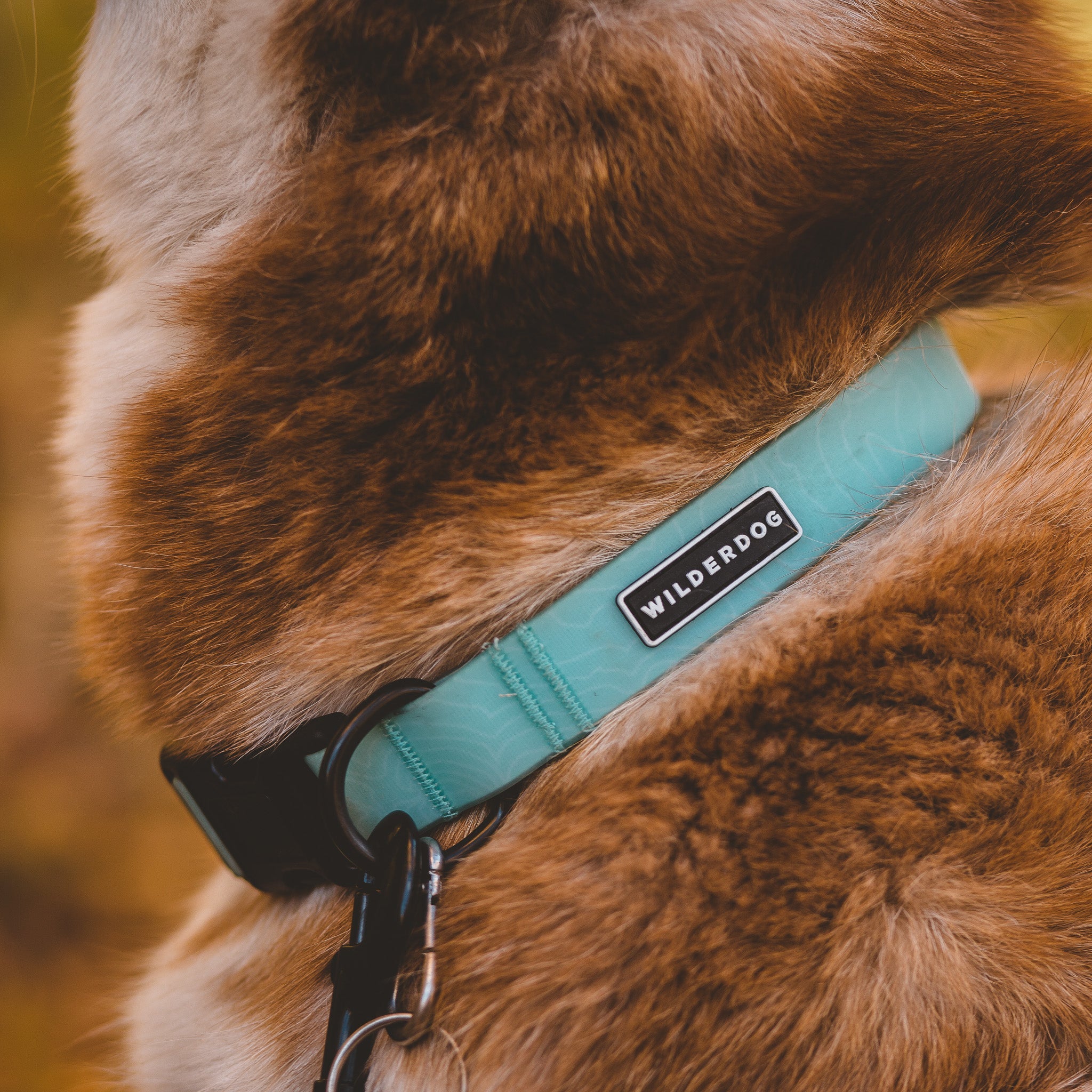 Waterproof Collars