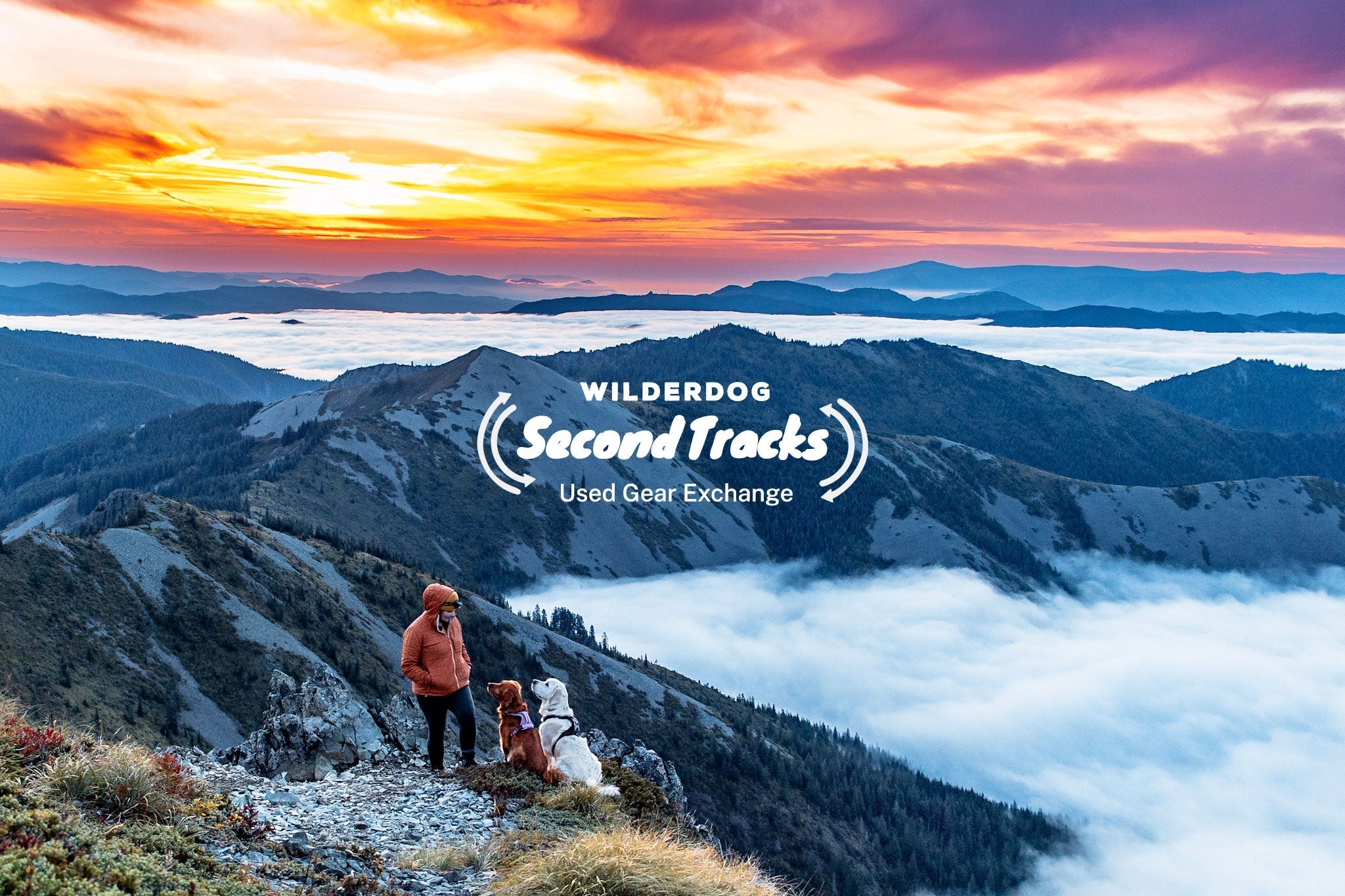 A person and two dogs stand on a mountain ridge overlooking clouds and distant peaks at sunrise. Text reads, "Wilderdog Second Tracks Used Gear Exchange.