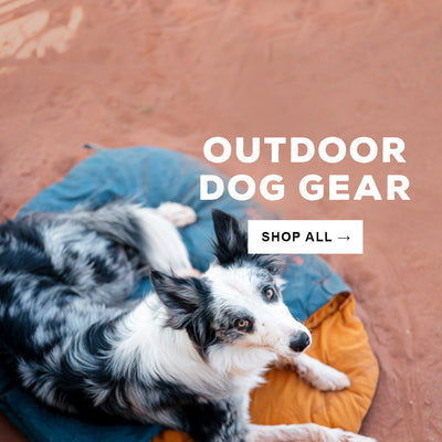 Outdoor Dog Gear