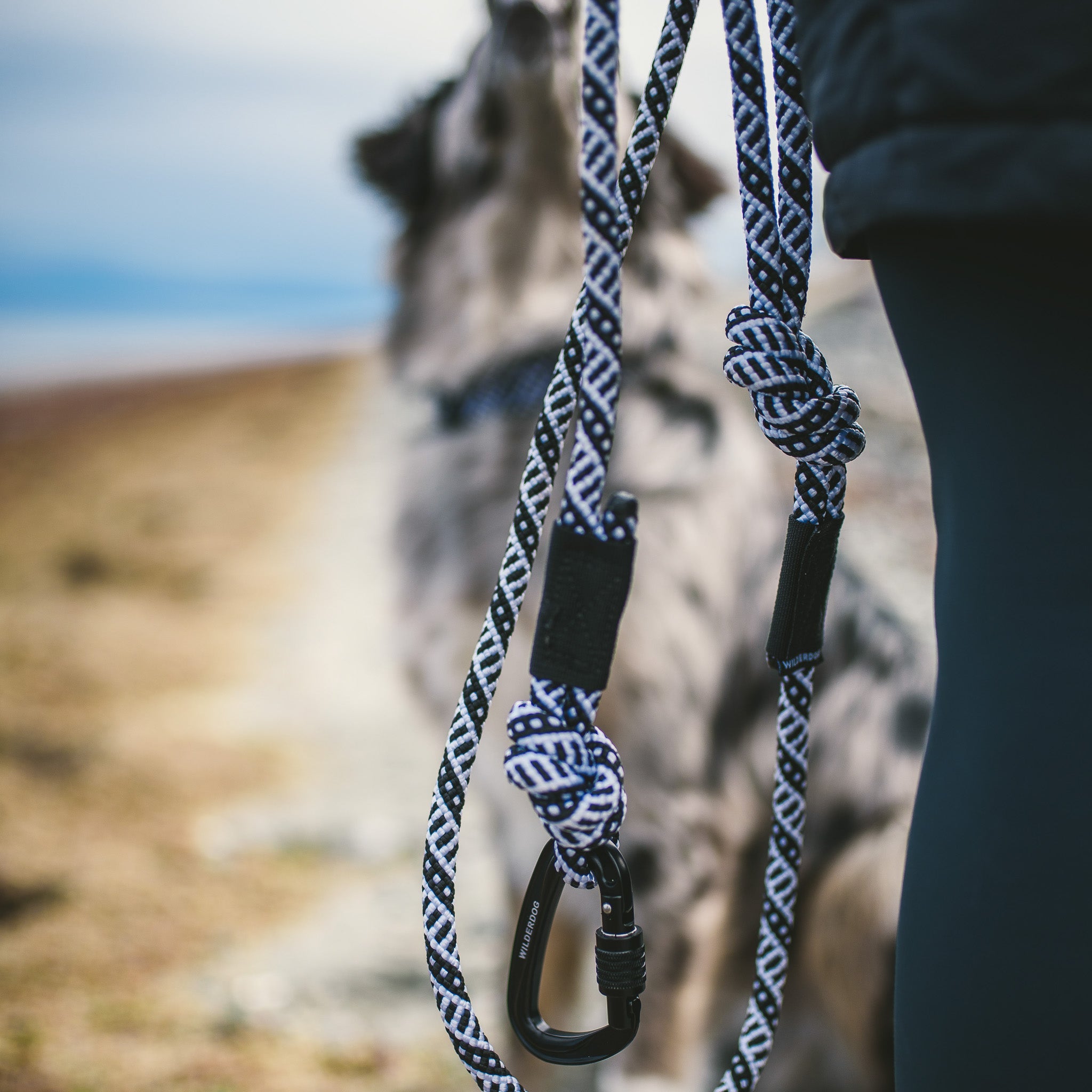 A red and blue rope leash with a black carabiner is coiled on a dark wooden surface. Text overlay reads: "Small Carabiner Rope Leashes.