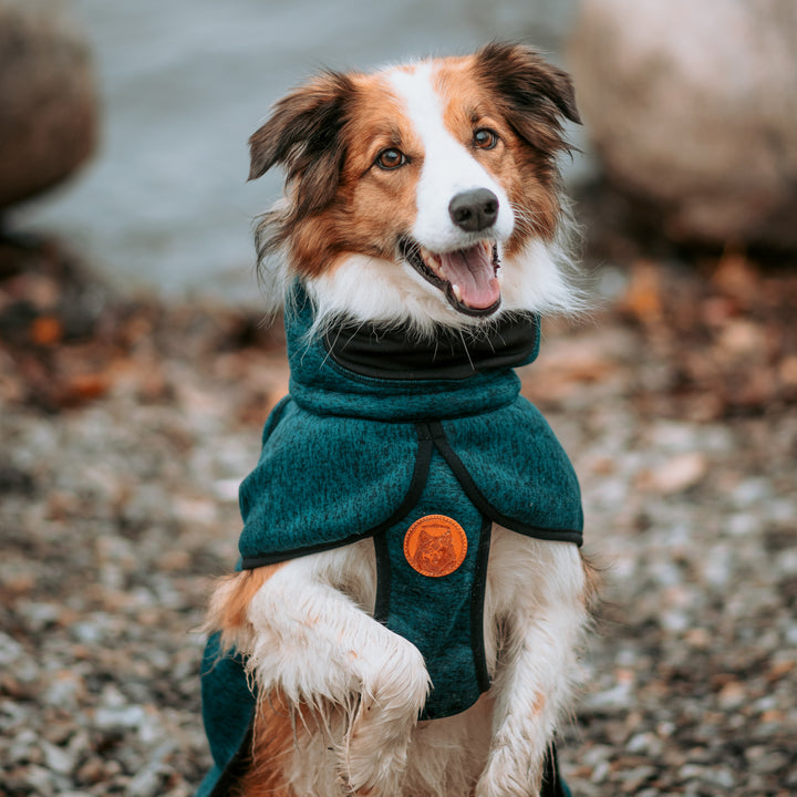 dog gear fleece Fleece Jacket – Wilderdog