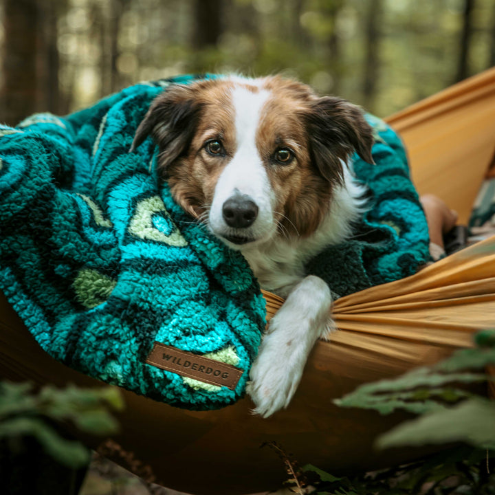 Sherpa Fleece Waterproof Blanket – Wilderdog