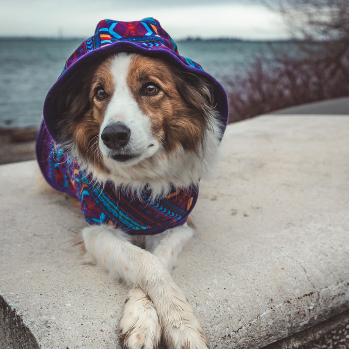 Big Sky Fleece Jacket – Wilderdog