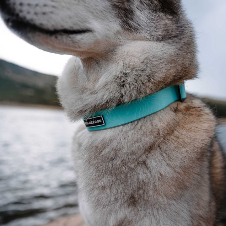 Seafoam Waterproof Collar – Wilderdog