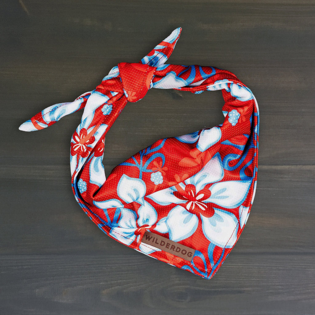 Aloha Bandana
