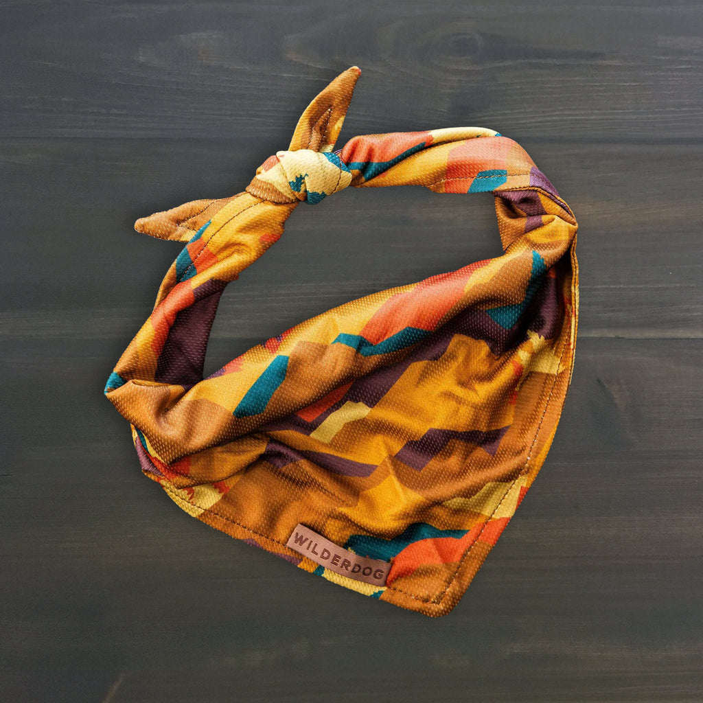 Autumn Air Bandana