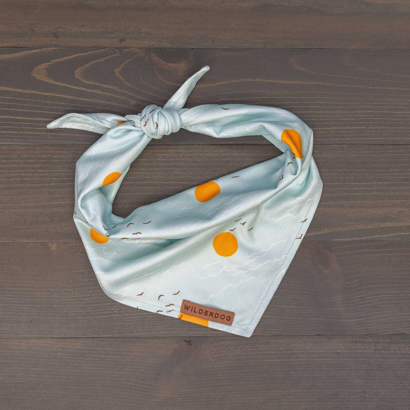 The Barnegat Bandana is a lightweight, quick-drying cooling accessory for dogs in light blue with orange polka dots and a small orange "WILDERDOG" tag, shown tied in a loose knot on a dark wooden surface.