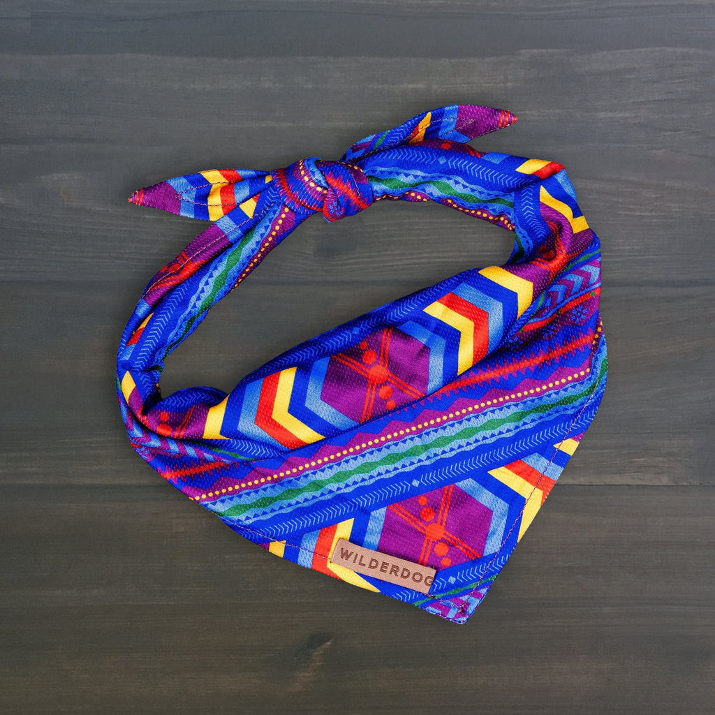 Big Sky Bandana