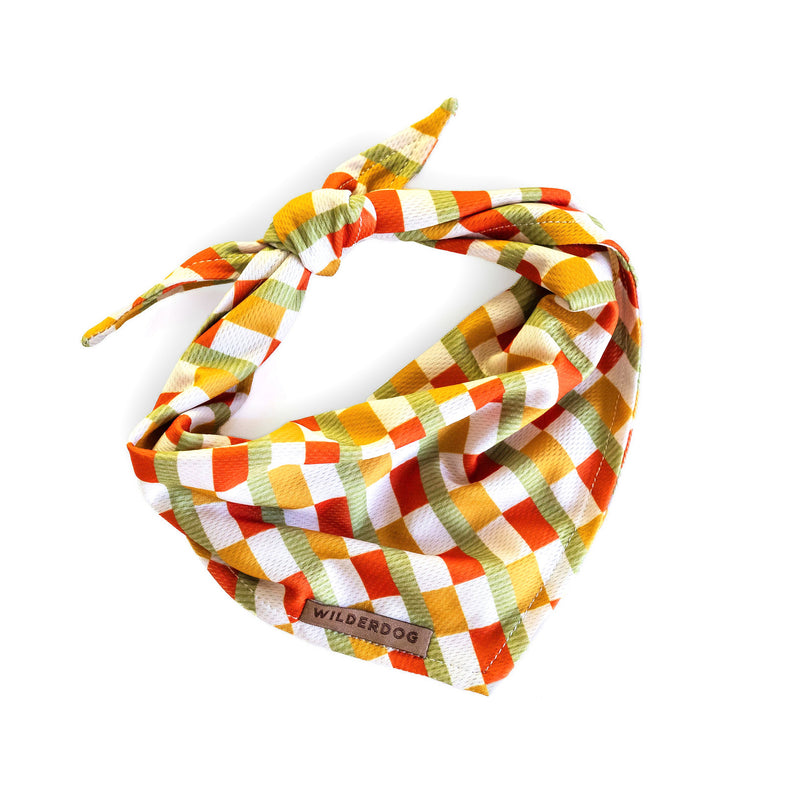 A tied white, orange, and green checkered Cider Bandana.