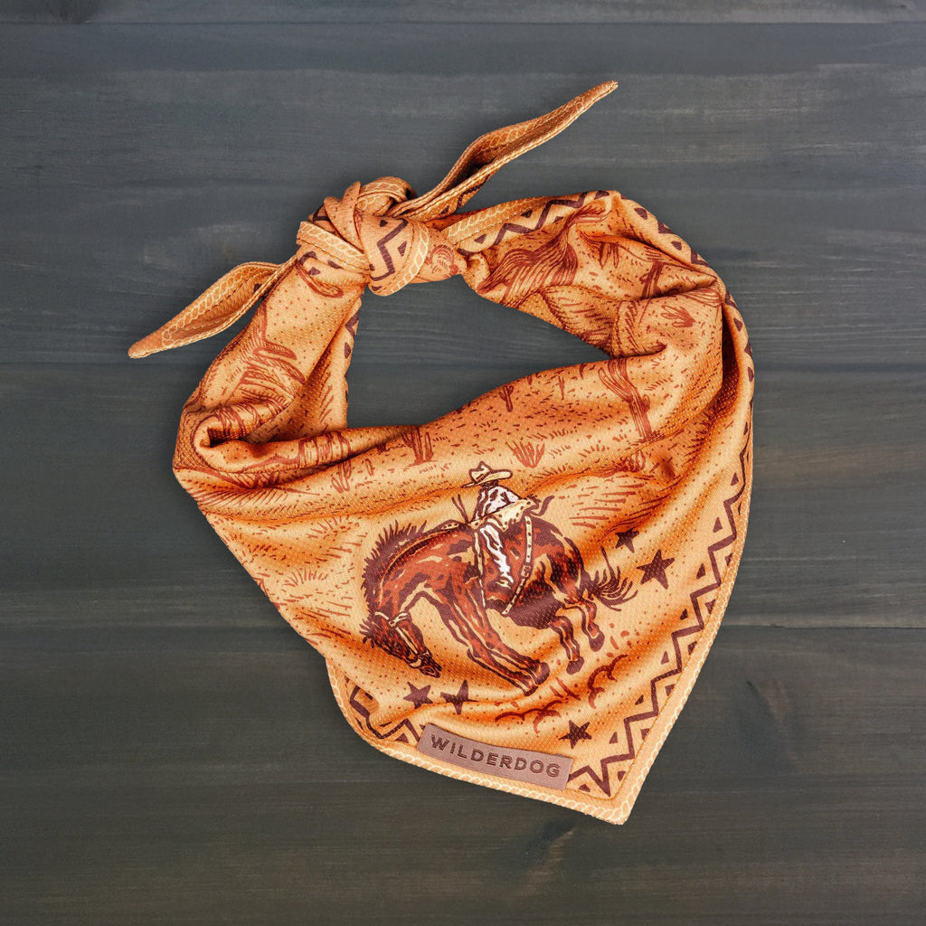 Cowpoke Bandana