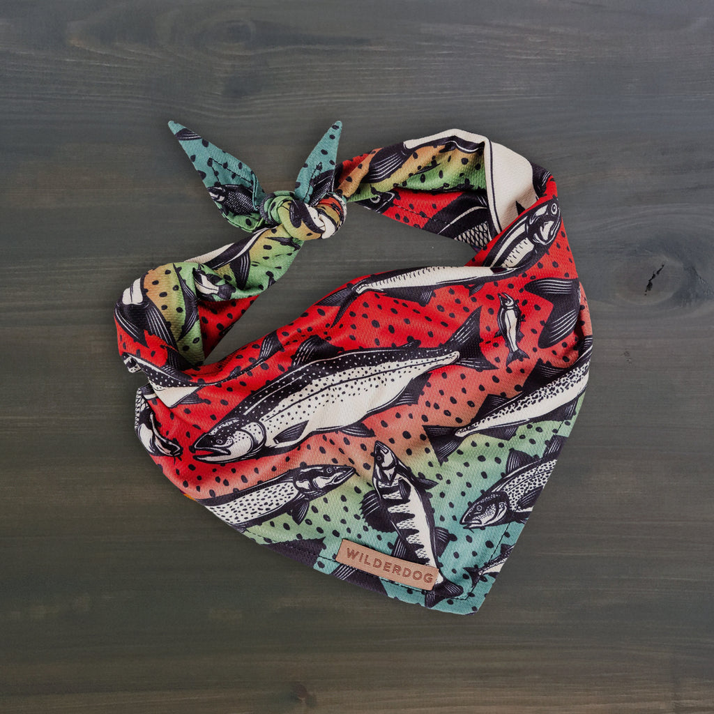 Gone Fishing Bandana