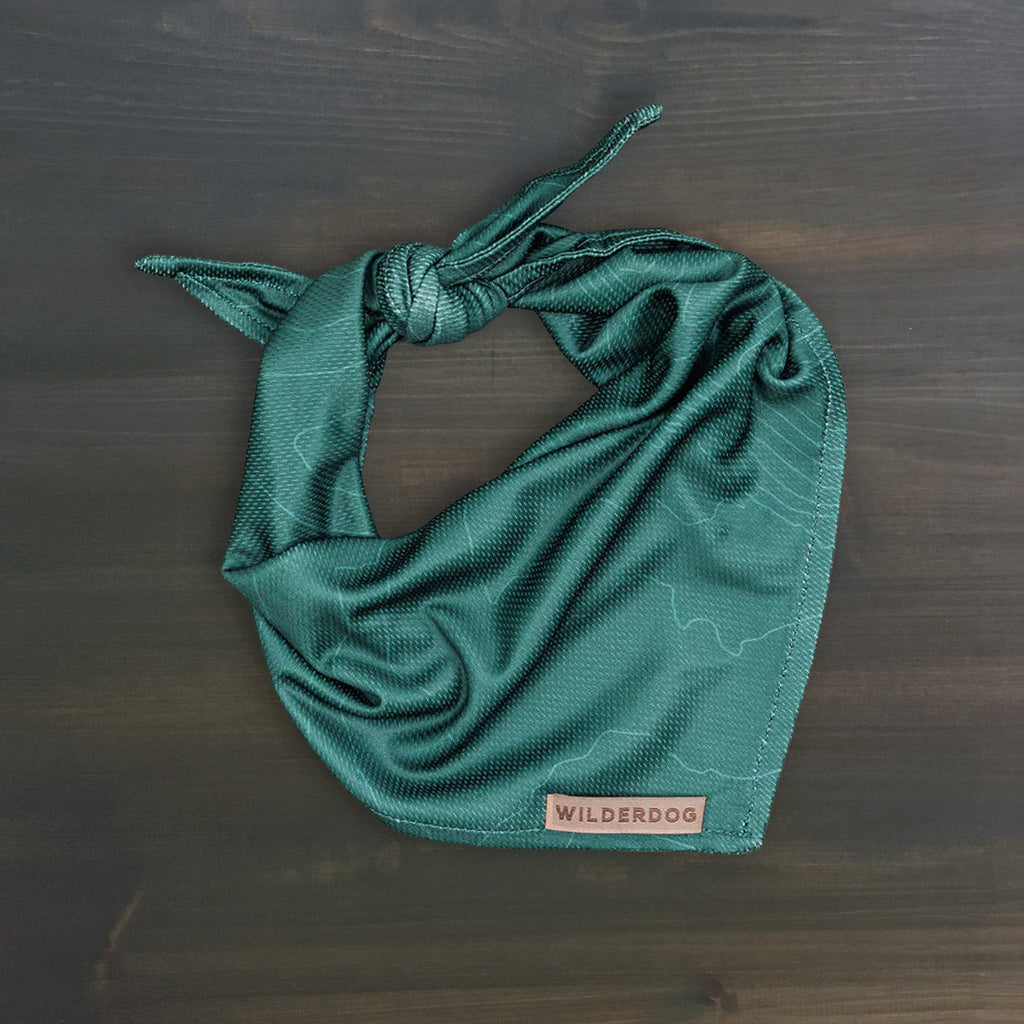 Evergreen Topo Bandana