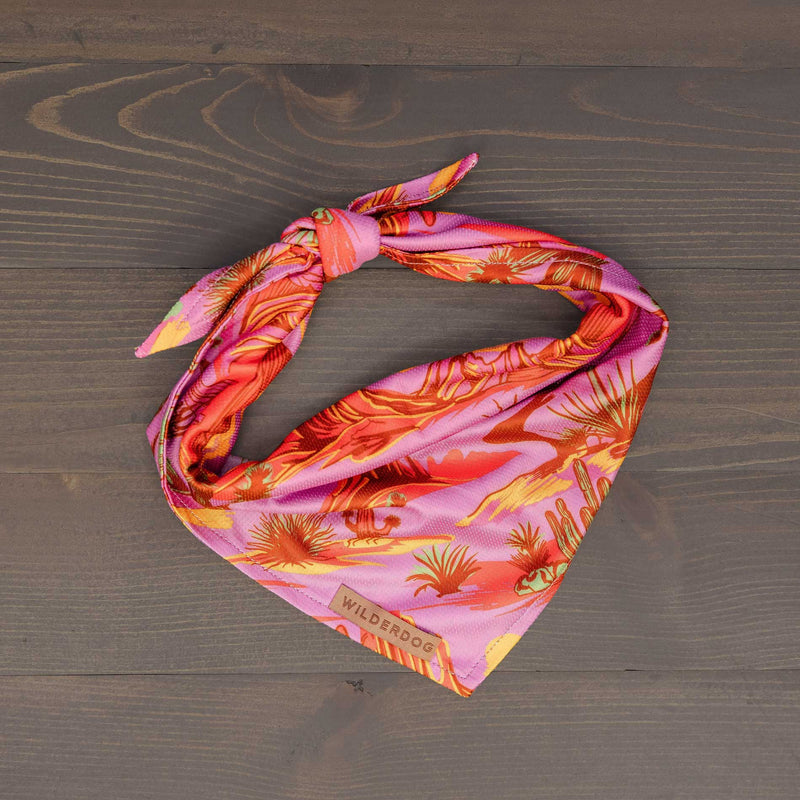 The Laramie Bandana is a lightweight, quick-drying dog accessory with pink and orange desert-themed patterns. "Wilderdog" is printed on one corner. Shown tied in a knot and laid flat on a dark wooden surface.