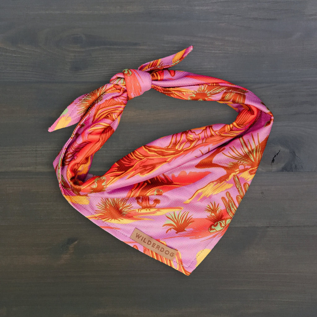 Laramie Bandana