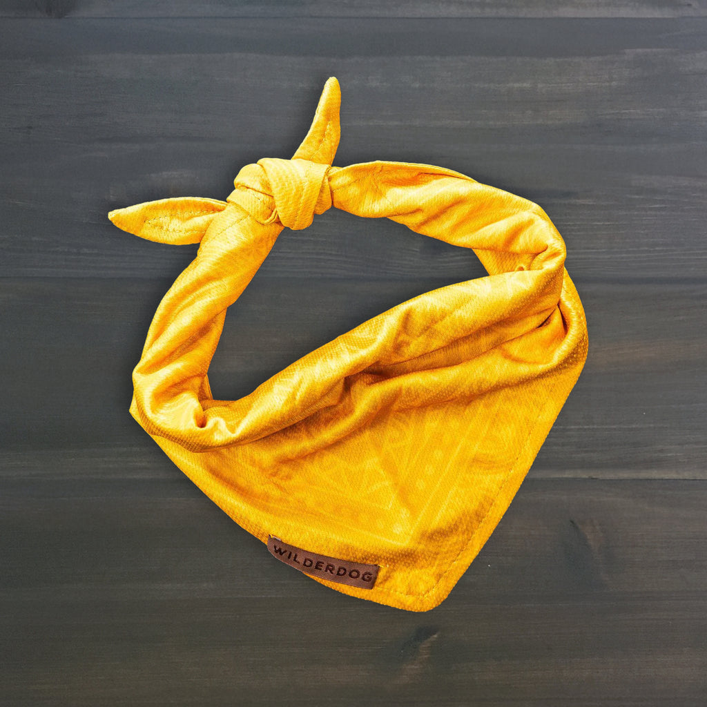 Bandana