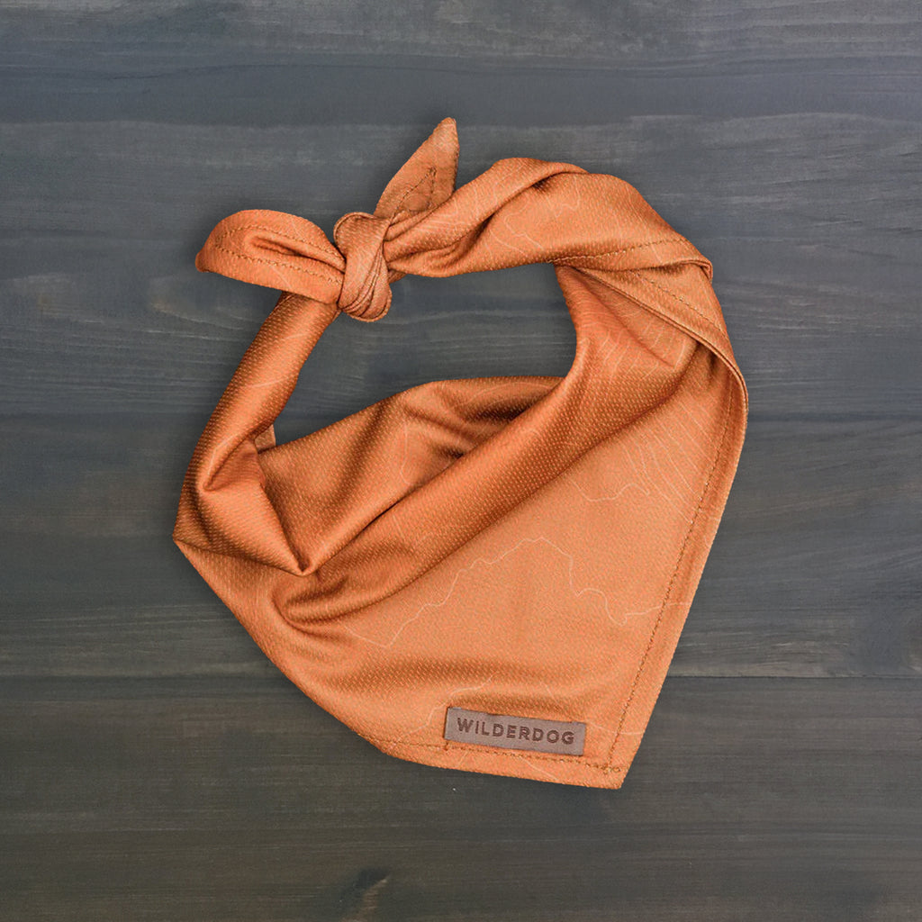 Topo Bandana
