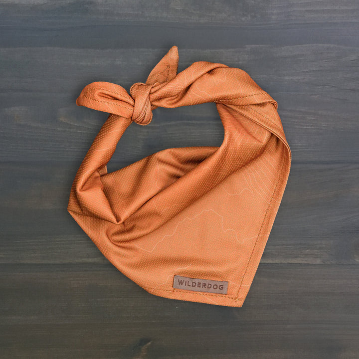 Orange Topo Bandana – Wilderdog