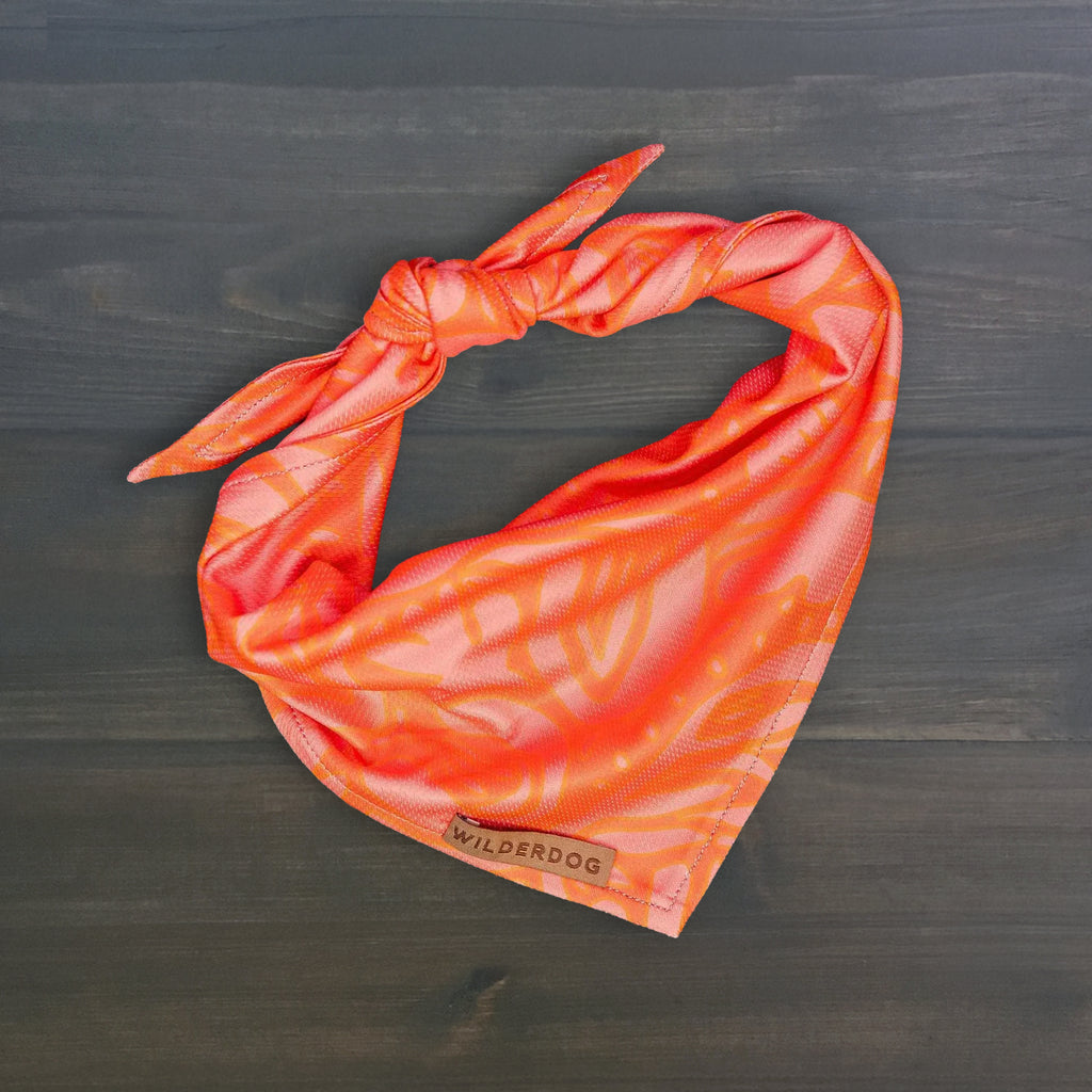 Papaya Bandana