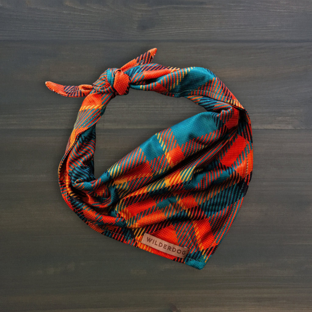 Pumpkin Spice Plaid Bandana