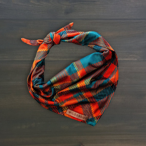Pumpkin Spice Plaid Bandana – Wilderdog