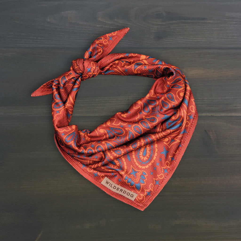 Rodeo Bandana